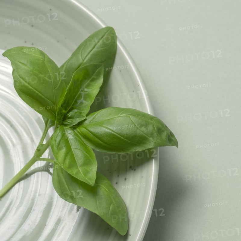 Basil on plate