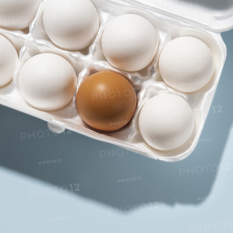 Eggs in carton on blue background