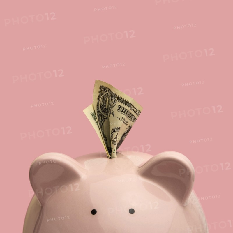 Piggy bank with US dollar bill on pink background