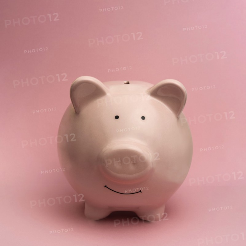 Piggy bank on pink background