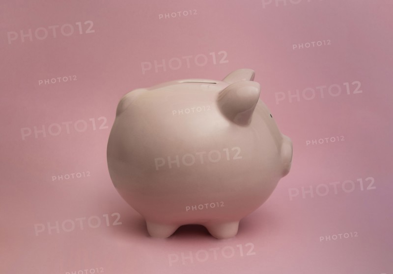 Piggy bank on pink background