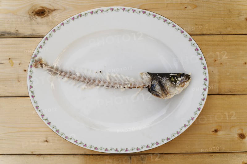 Fish skeleton on plate