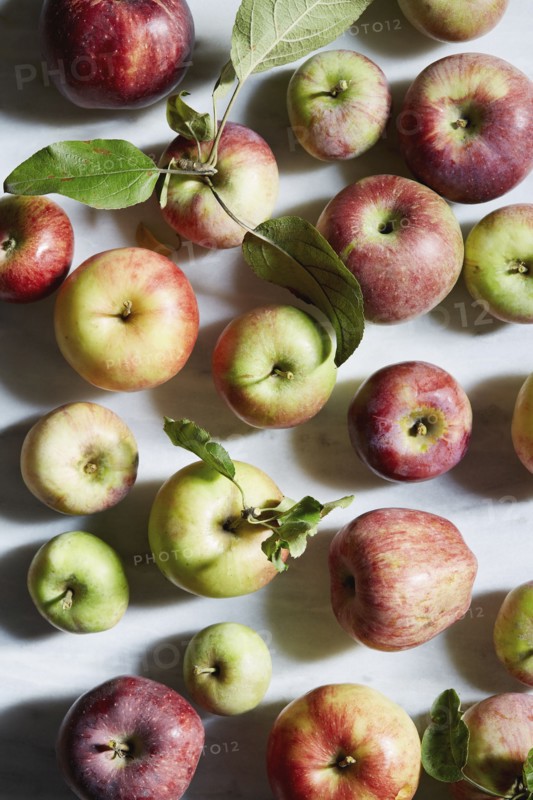 Freshly harvested apples