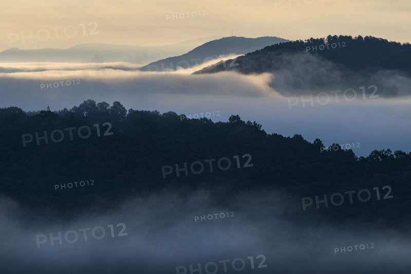 USA, Georgia, Blue Ridge Mountains covered with fog at sunrise