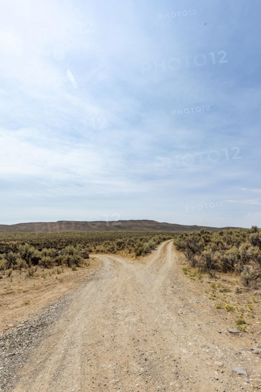 USA, Idaho, Bellevue, Forked dirt road in desert