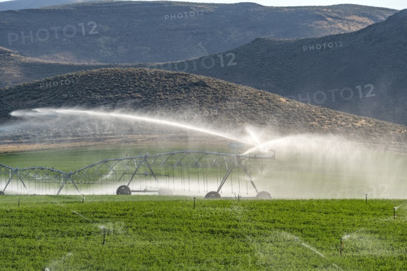 USA, Idaho, Bellevue, Center pivot irrigation system sprinkling water in field