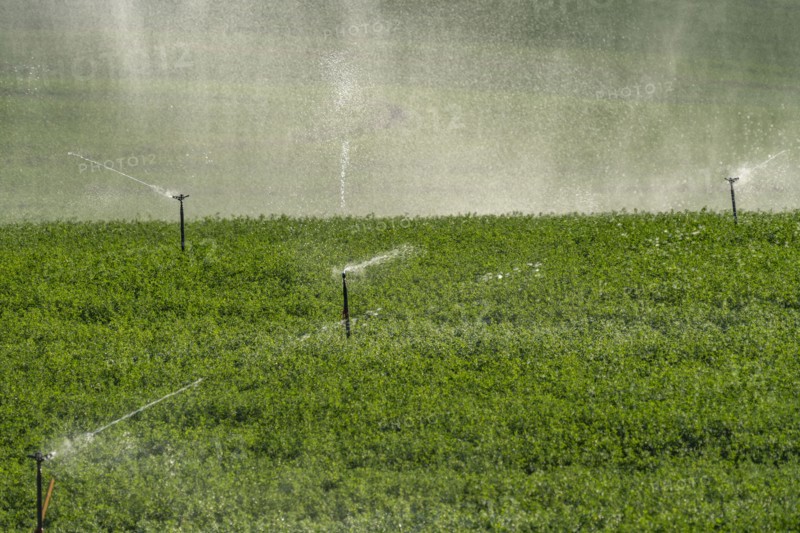 USA, Idaho, Bellevue, Sprinklers in field