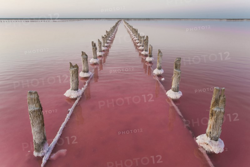 Ukraine, Crimea, Wooden posts in salt lake