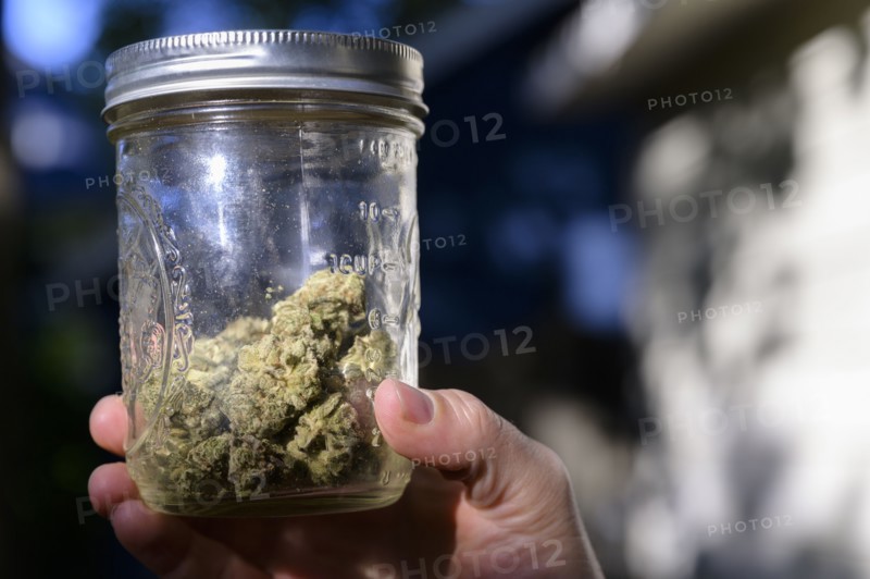 Close-up of mans hand holding jar with cannabis buds