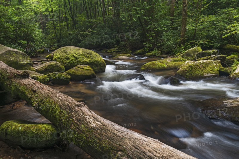 Chester Creek in Blue Ridge Mountains