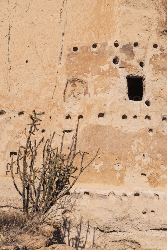 Cliff dwellings in Bandelier National Monument
