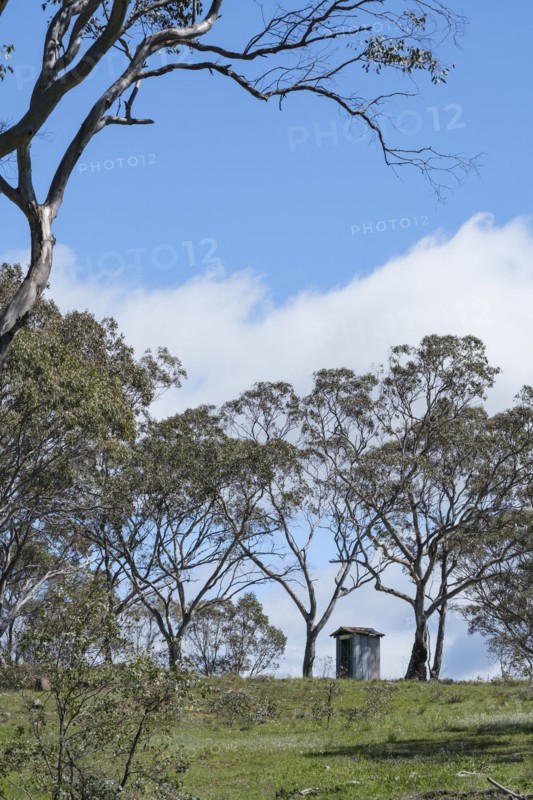 Hut among trees under blue sky