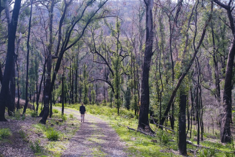 Woman hiking around Ganguddy-Dunns Swamp