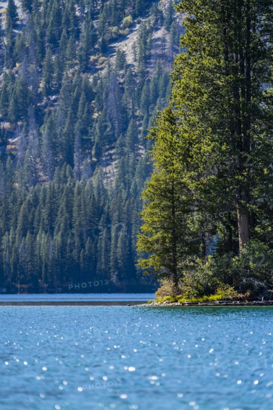 Alpine lake and trees in Sawtooth Range