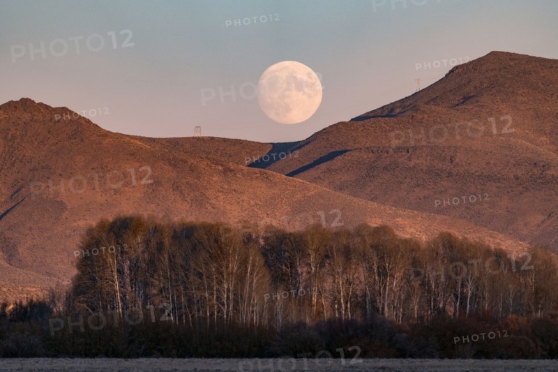 Full moon rising over mountains at dusk
