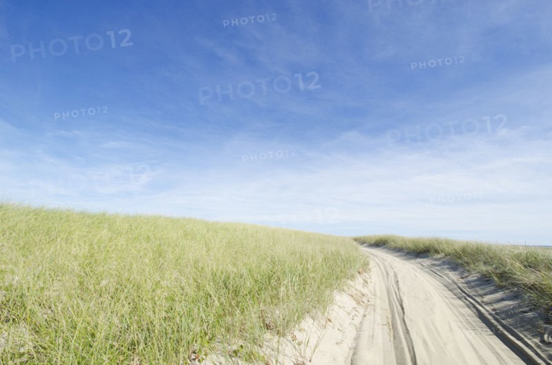 Coskata-Coatue Wildlife Refuge