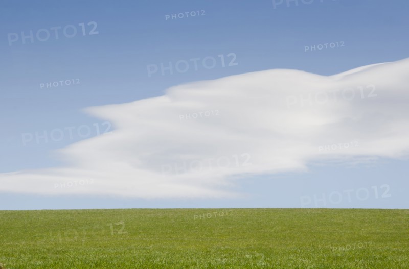 Green plain and sky