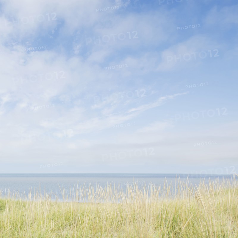 Grass on dunes and sea