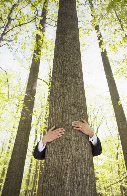 Man in suit hugging tree