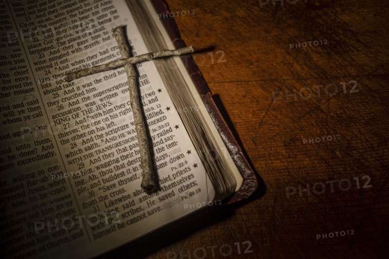 Tree twigs forming cross on old open bible