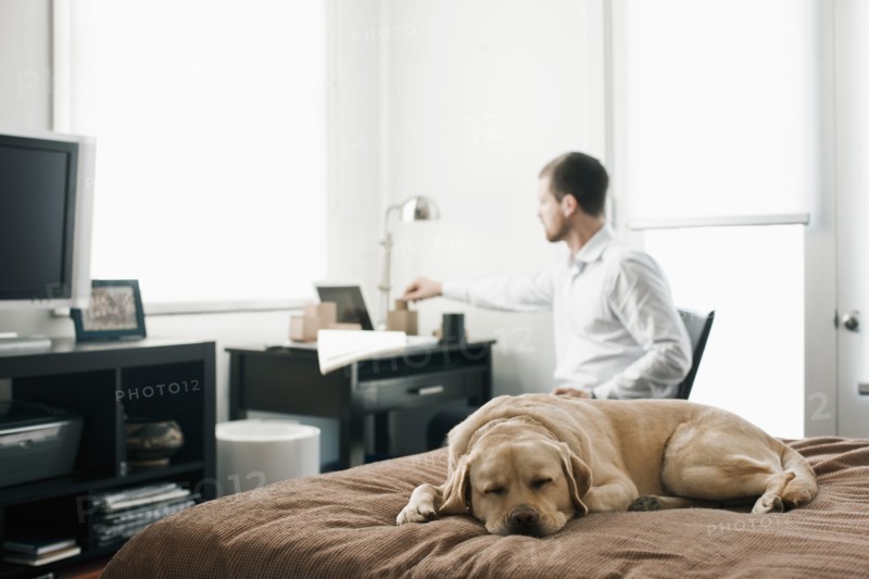 Caucasian businessman working in bedroom