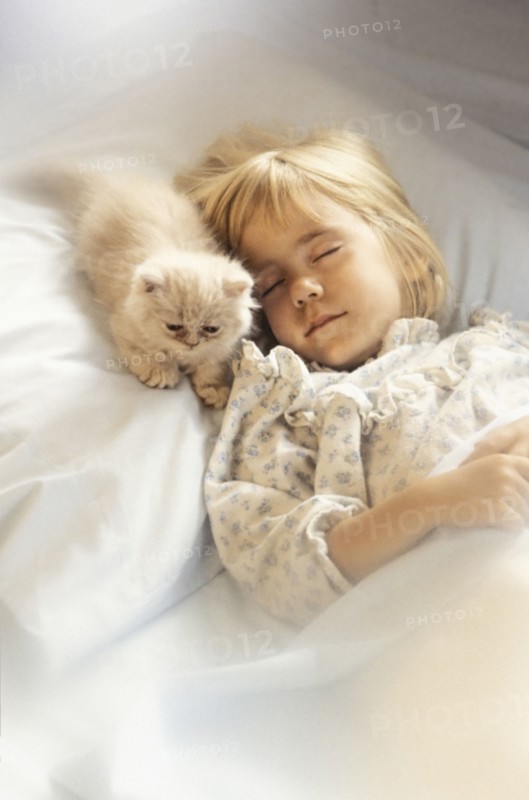 Girl (6-7) with kitten sleeping in bed