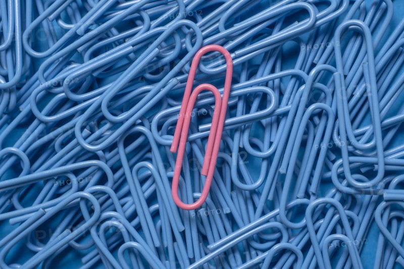 Pink paper clip on pile of blue paper clips
