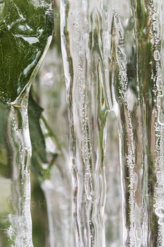 Close-up of icicles and frozen leaves