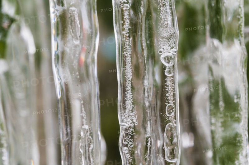 Close-up of icicles on plant