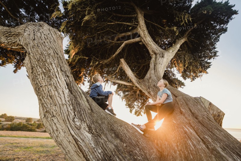Boy and girl sitting on tree in landscape at sunset