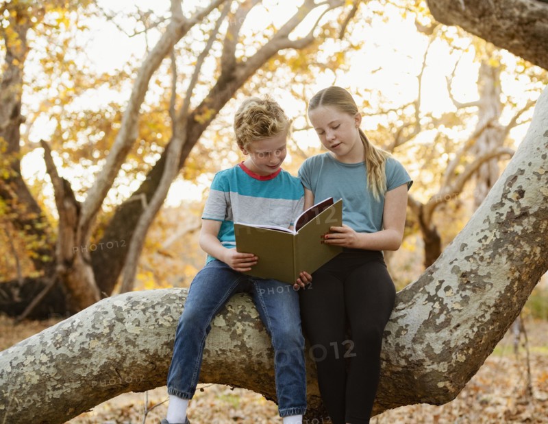 Boy and girl sitting on tree branch and reading book