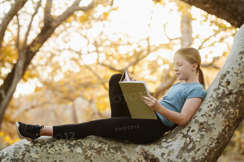 Girl sitting on tree branch and reading book