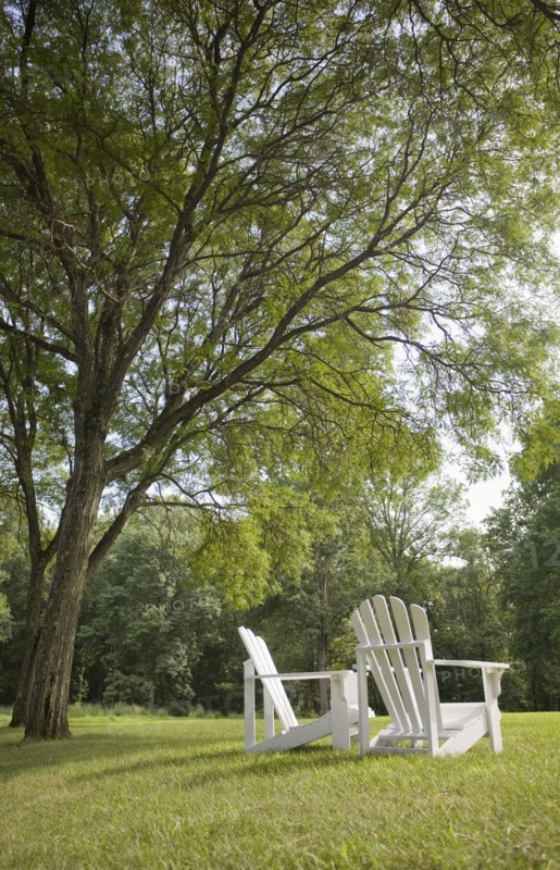 Pair of Adirondack chairs in back yard