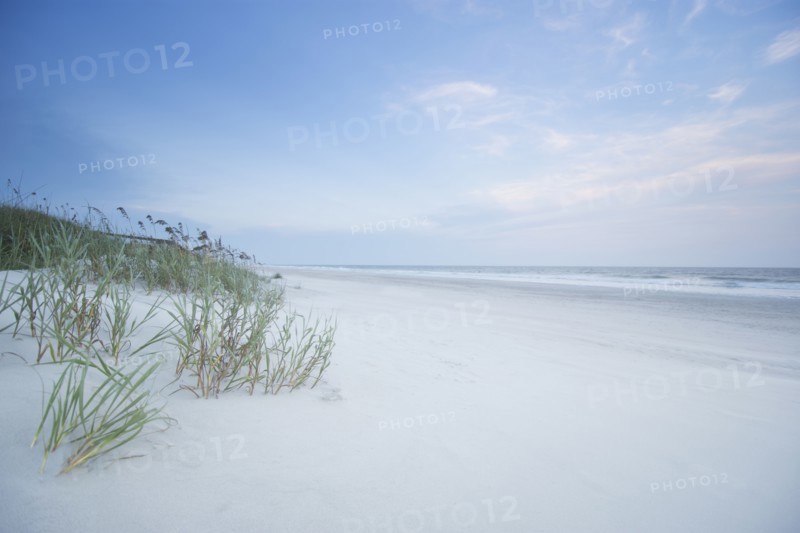 Empty beach with grass