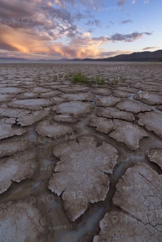 Cracked soil in desert at sunset
