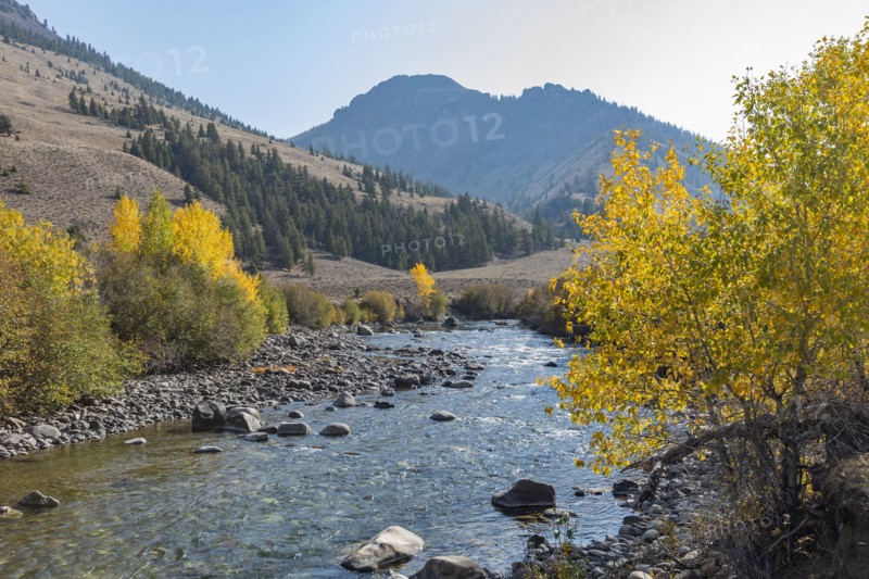 Big Lost River in autumn landscape with mountains and trees