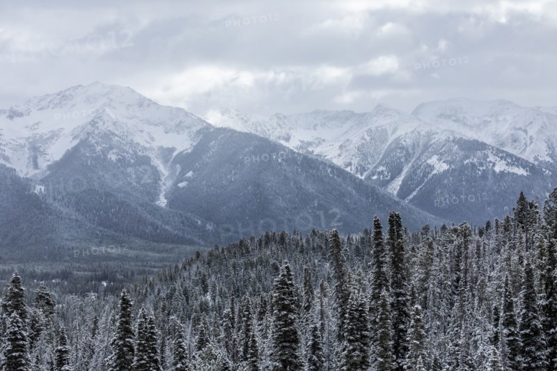 Landscape with snowy mountains and forests in winter