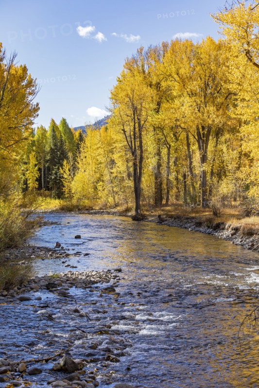 Big Wood River flowing through autumn forest