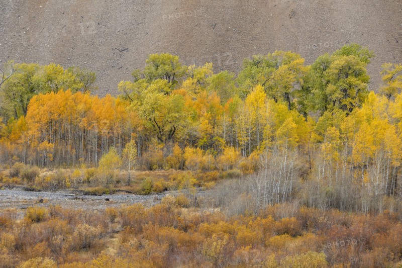 Big Wood River flowing among autumn forest in mountains