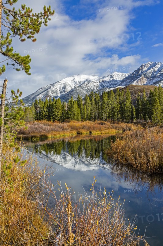 Bald Mountain of snowy mountains