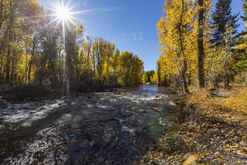Big Wood River with autumn trees