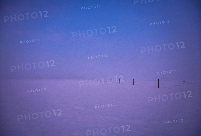 Snowy field at dawn