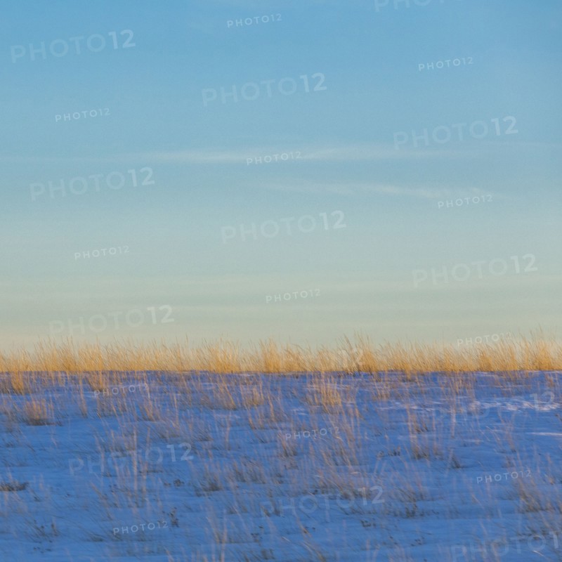 Range grasses in snow at sunset