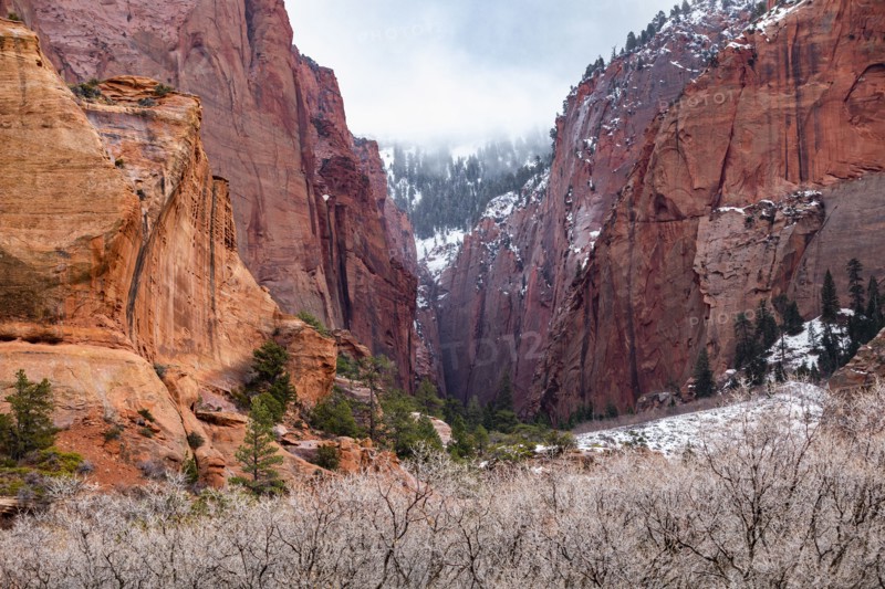 Kolob Canyon section of Zion National Park