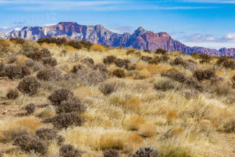 Mountains near Zion National Park