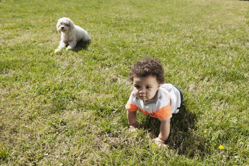 Child crawling on grass