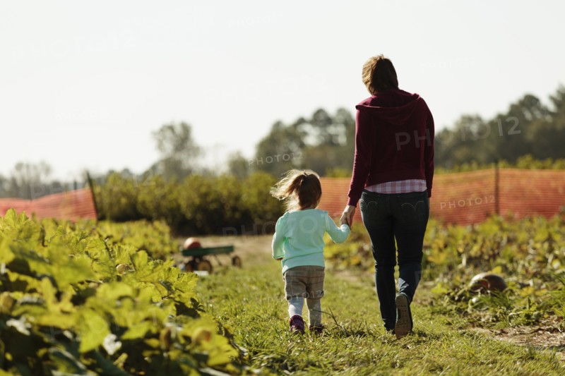Mother and daughter holding hands in pumpkin field