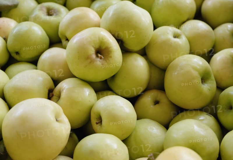 Stack of fresh green apples