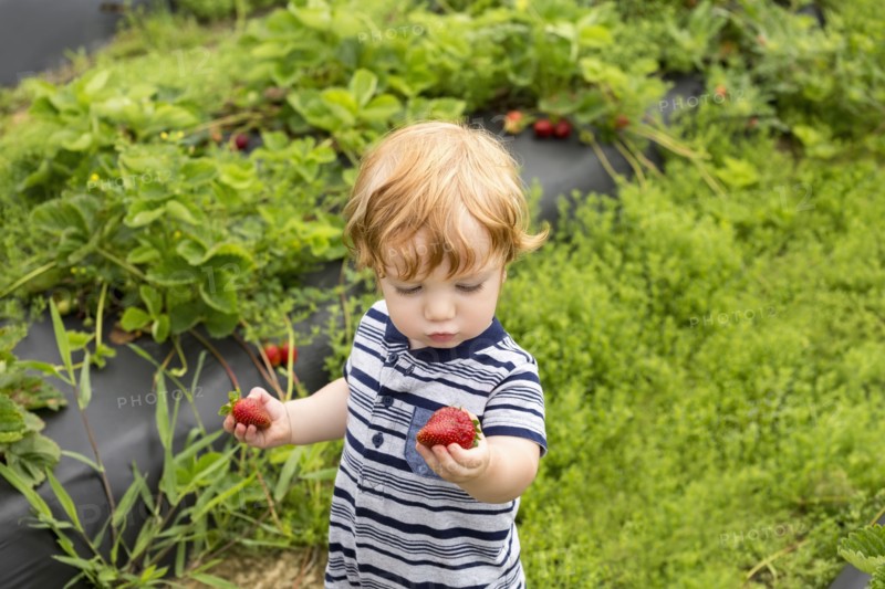 Toddler outdoors