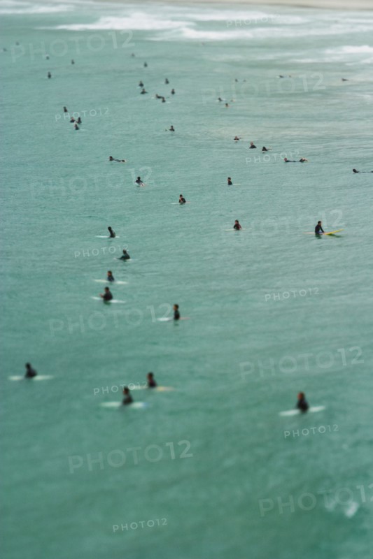 Surfers in sea